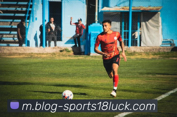 18新利体育发展历程